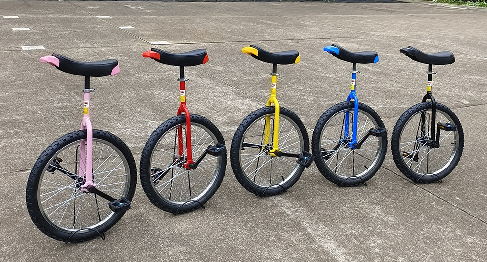 IMG_20230831_084323 1000.jpg