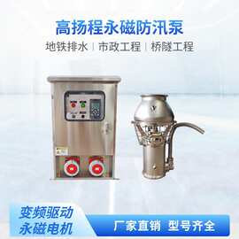 市政地铁隧道工程用大流量高扬程永磁变频不锈钢防汛排涝潜污泵