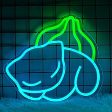 Z 41808 Cartoon Neon Light Game Accessory ��ͨ�޺�� ר