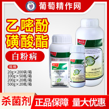 ���� �ۄ���25%���׷ӻ�������ݮ �����S�ϰ׷۲������rș������