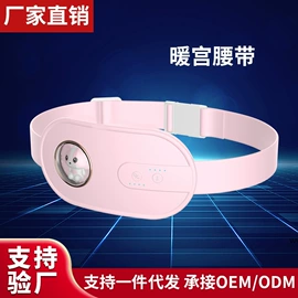 电子美容仪;洁牙仪;电动刮痧仪