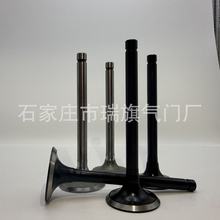 A274.1007010-25   4022.1007015-01进排气门 厂家现货  质量保障