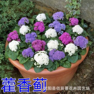 ޽���E���N�� �׷N�׻�����ͥԺ���@�������R�^�p���ܻ��N�����l