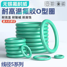 氟胶O型圈线径5*外径16-495/16/20/50/100/150/200/250/300/470