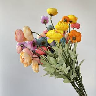 �羳����4�^��õ¶ɏ��Yӭ�e�^·�����Ų����ٻ��Ҿ��b[��