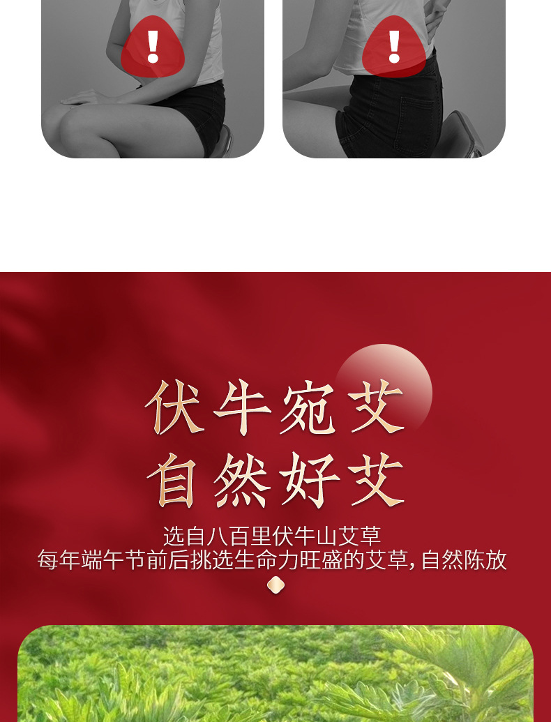 Five-year old Artemisia 500g Dragon Boat Festival Artemisia bulk gold Artemisia grass smoked ginger moxibustion ginger moxibustion detail image