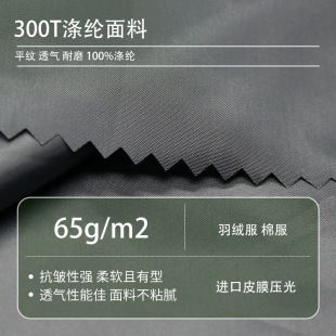 300T�������]��z�����Ϸ��q���޷��b���������p���󿗾���ƽ�y