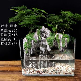 Plant 58 Landscaping Micro-Landscape Flowing Water Large Fish Tank Decoration Complete Set Small Real Desktop 30 Ecological Collection