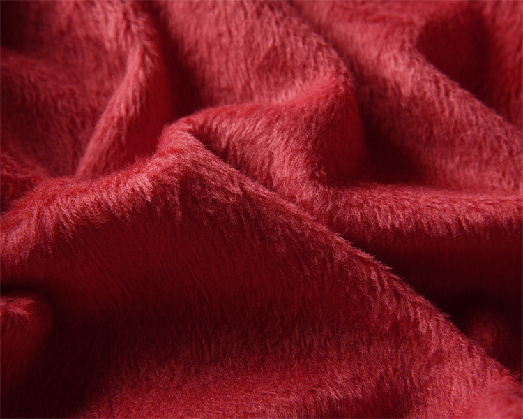 bb1649c1cca64ed94aa2bac3b0b481