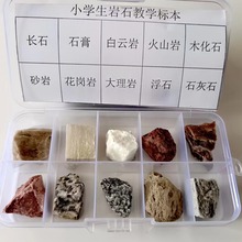 ��Ȼ�V����ʯ�˱��� С�W���꼉�� �ƌW�̾߿�������