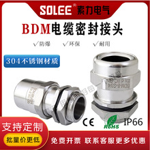 ���P�V�������^BDM-D-B-G-I304 ���P䓸��m�^ ��|���^PG�^