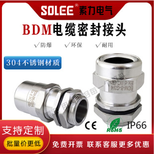 ���P�V�������^BDM-D-B-G-I304 ���P䓸��m�^ ��|���^PG�^