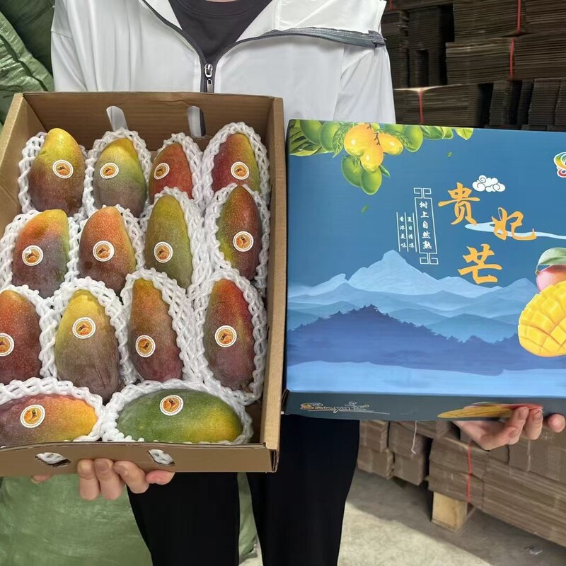 Authentic Hainan Guifei Mango, Sweet and Juicy with Plump Flesh, Gift Box Packed with Fresh Hainan Guifei Mango Authentic Hainan Guifei Mango, Sweet and Juicy with Plump Flesh, Gift Box Packed with Fresh Hainan Guifei Mango