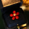 Red high-end brooch, protective underware, small accessory, clothing lapel pin, clips included, light luxury style