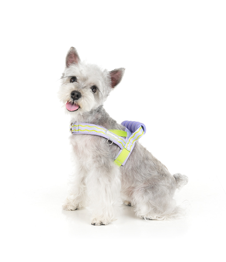 Fashionable Dog Harness With Foam Handle For Small Medium Dogs_voghion.com