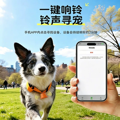 positioning electronic smart collar, anti-lost — GPS Locator