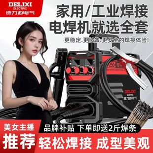 Delixi Electric 250 Portable Welding Machine 315 Industrial Grade Dual Voltage High Power Manual Welding Novice Complete Set