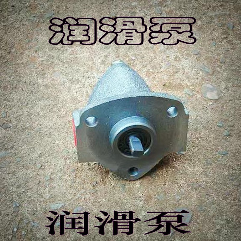 RHB型润滑摆线齿轮油泵 RHB-4润滑泵 泵浦  转子泵 油泵 电机泵