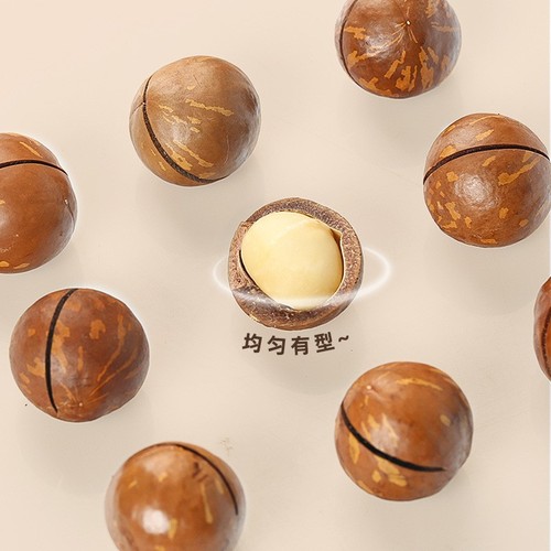 Australian specialty macadamia nuts large grains 250g cream flavored macadamia kernels nuts wholesale manufacturer