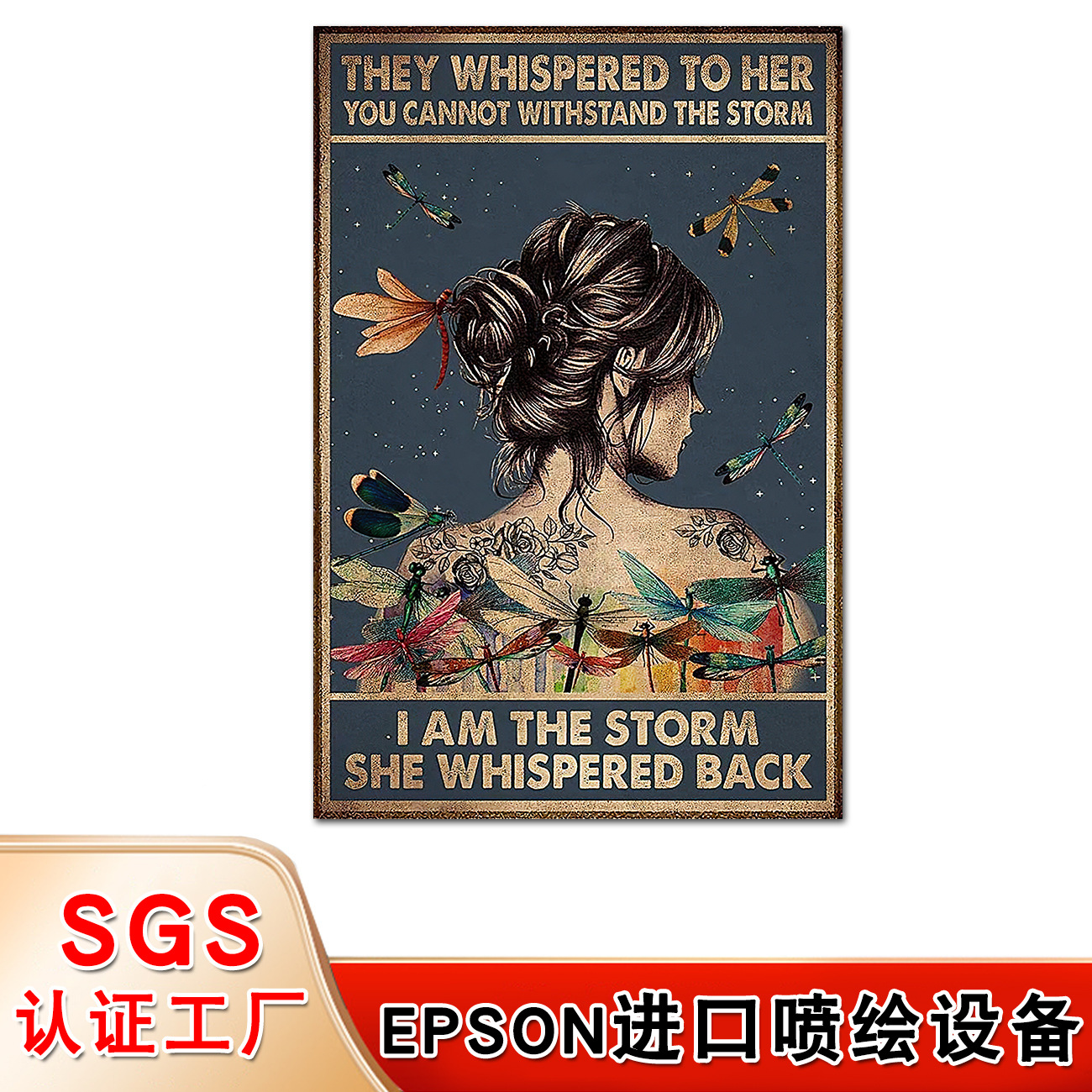 我是风暴 (1).jpg