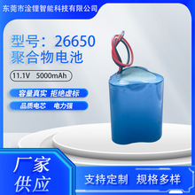 ����ӵ����12.8V 5000���� ����ƾ�  ���Ѵ� ���ܺ�ģ��ߵ��