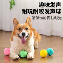 ������ߴ���TPR������ҧĥ���l����Ȯ���X�␞���ӏ��������l