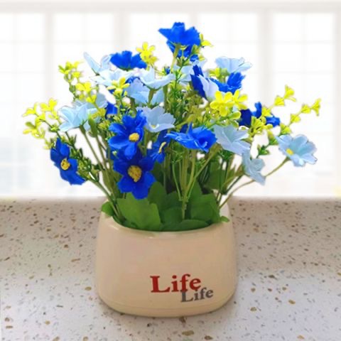 라이프 분지-점프 난초 블루