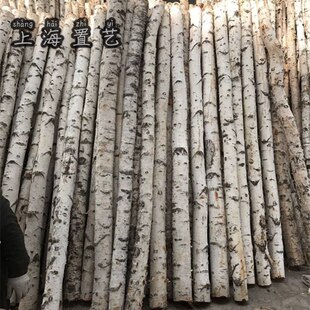 �ט�� �b� �ט��ə���������ɱ��������L�ݘ����P�Aľľ��