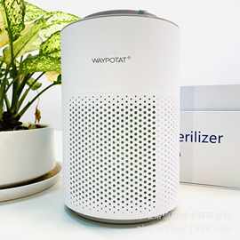 小空间净化器祛宠物异味消毒杀菌除烟味甲醛除臭等离子空气消毒器