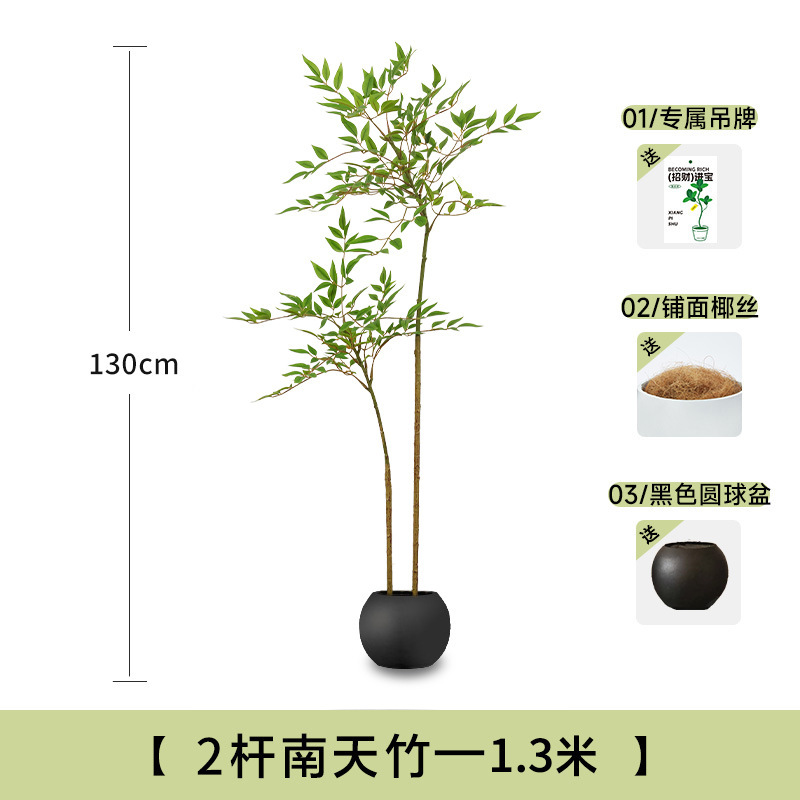 假绿植装饰仿真南天竹室内盆栽大型落地摆件客厅轻奢仿生植物造景|undefined
