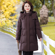 2025�����¿�������q��Ů�����q���L��Ӻ��Bñ���������ꋌ����