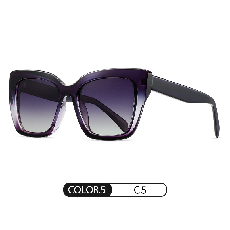 Brillante y progresivo púrpura progresivo gris C5