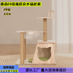 猫は猫の巣の猫の木を登ります。