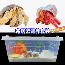 活物寄居蟹宠物饲养箱套装沙造景躲避屋水盆攀爬藤海盐螃蟹缸直销
