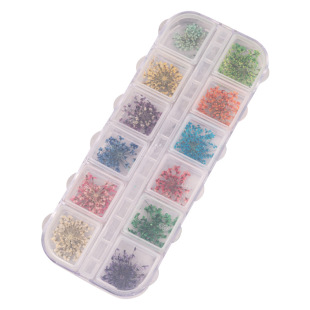Manicure lace dried flower manicure three-dimensional dried flower manicure real flower 12 color manicure dried flower manicure flower