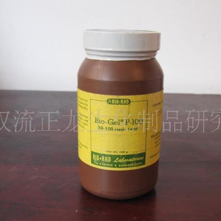 聚丙烯酰胺凝胶P100