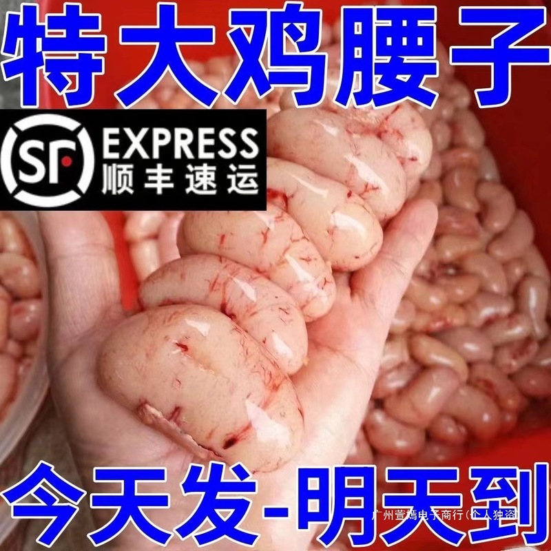 ルースエイドリーウエスト、新鮮な大きな冷凍鶏卵、若者向けの栄養価の高い鶏、鶏の腎臓、新鮮な卸売|undefined