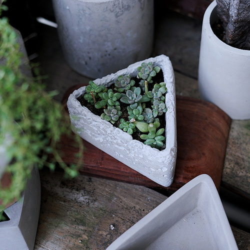 Nordic diamond pattern geometric cement succulent special flower pot small creative breathable mini round plant pot pottery pot