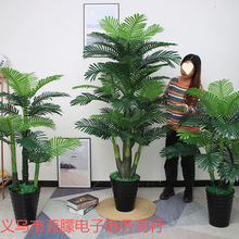 ¿ɢβԻ͏d[٘ӼbϿGֲ辰