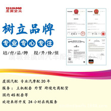 �����11 205 018��620100��1G381-64012��2106-42001��
