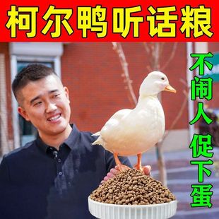� ���������ʳ���_�Ơ����Zʳ�r��С�����_�ڼZ�u�Z���îa�����