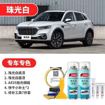 Avtomobil boya qələmləri – Self-Spray Paint - pearl-white-pearl-white-basic-repair