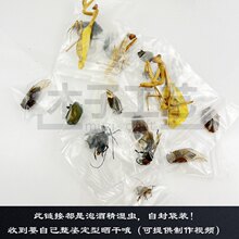 �̌W�@���x15������]ԭ�x�����˱��������յ������x��ţ���x��Դ