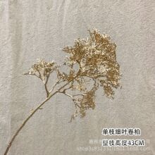 ɫϵз滨 ȼ~ͰlؔͰb^͏d廨[