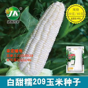 ���l����Ŵ���׷N�Ӱ�ɫ����Ŵ209ճ���׷N�ѱ��{�rʳˮ�����׷N
