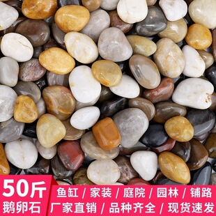 50����Z��ʯʯ�^ͥԺ䁵��·�~�׻��@�쾰��Ȼ�껨ʯԭʯ��ʯ