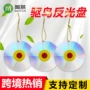 眼睛悬挂恐怖庭院光盘