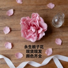 ��ϱ��r���������l6���b�������d�ӻ��Y����Ļ�c�YƷDIY��ˇ