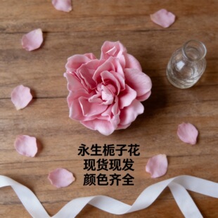 ��ϱ��r���������l6���b�������d�ӻ��Y����Ļ�c�YƷDIY��ˇ