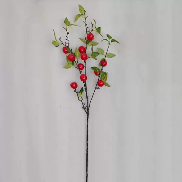11 hawthorn fruits-red